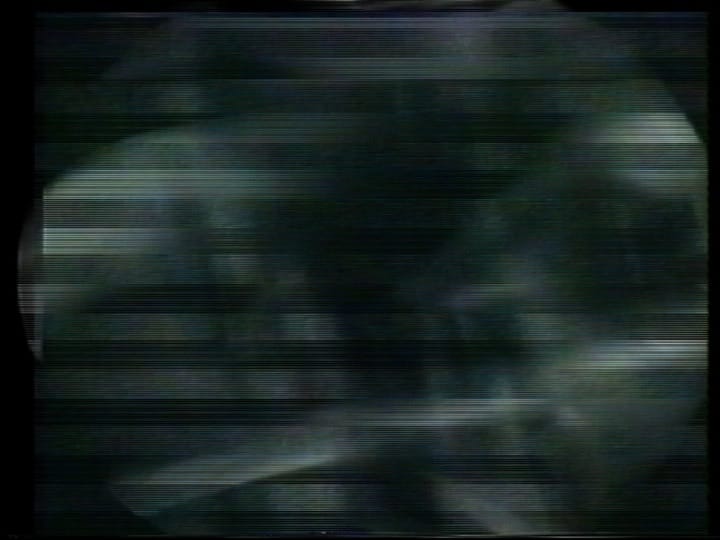 Silent Garden, videostill